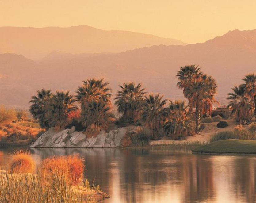 Palm Desert